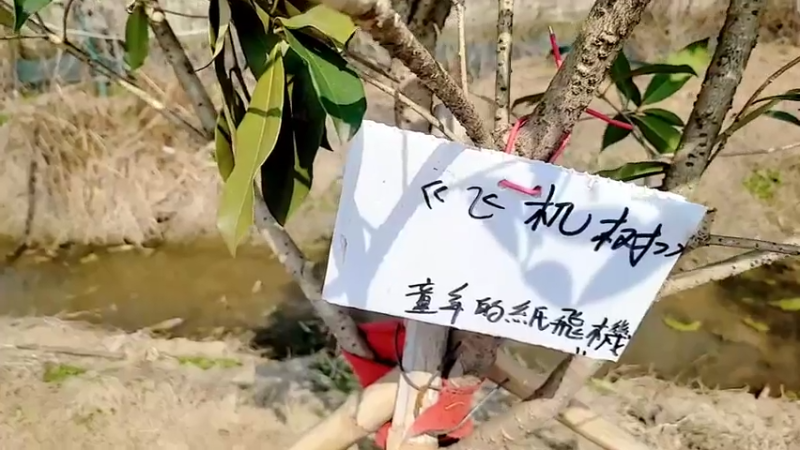 【2022-02-25 13点场】洪湖小肖：踩点  搞大货337852