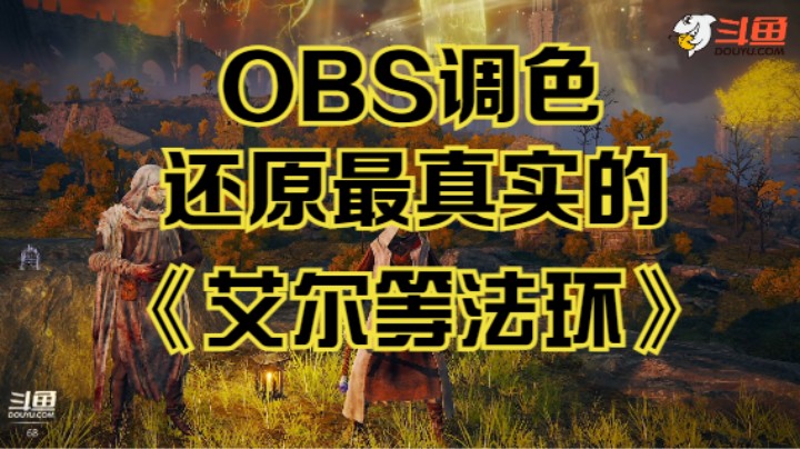 【斗鱼出品】专业主播怎么能不会调色？《艾尔等法环》OBS调色教学