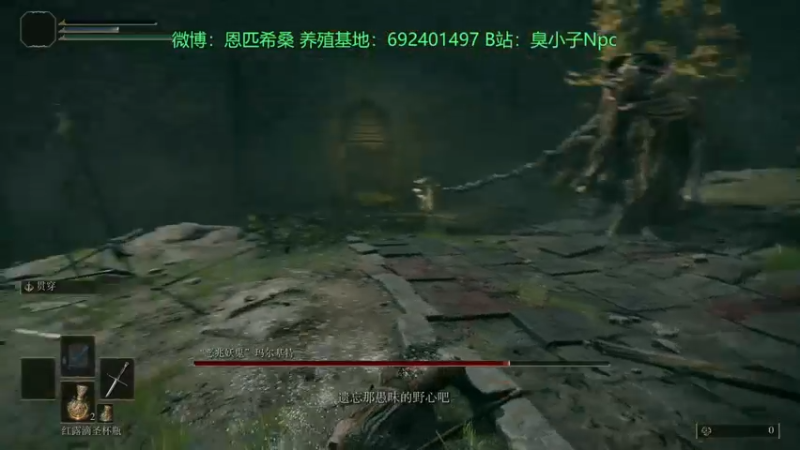 【2022-02-25 03点场】金甲EzNpc：艾尔登法环！ 4572396