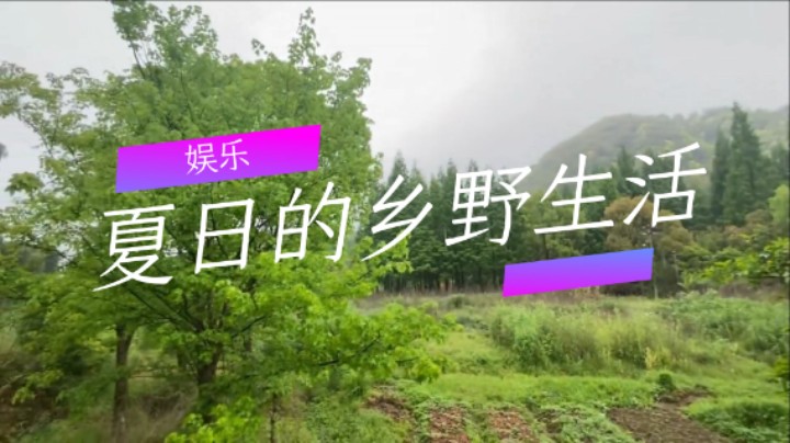 娱乐：夏日的乡野生活（二）