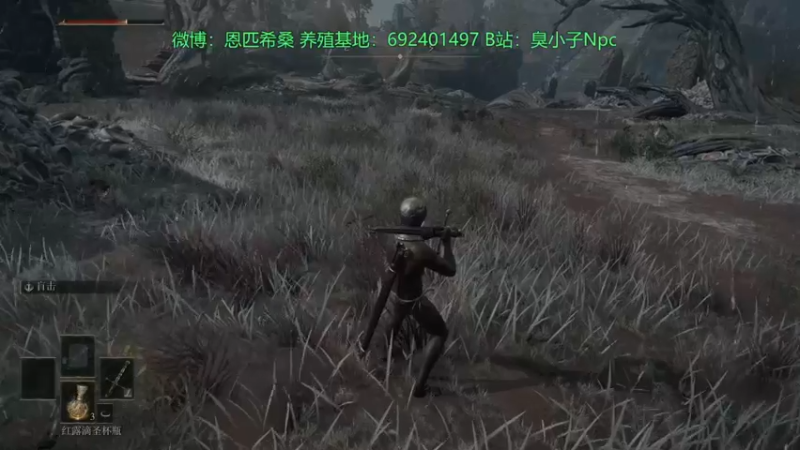 【2022-02-26 01点场】金甲EzNpc：目标！黄金君王！