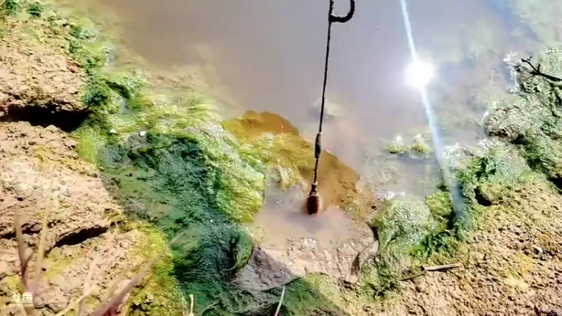 【2022-02-26 13点场】洪湖小肖：踩点  搞大货337852