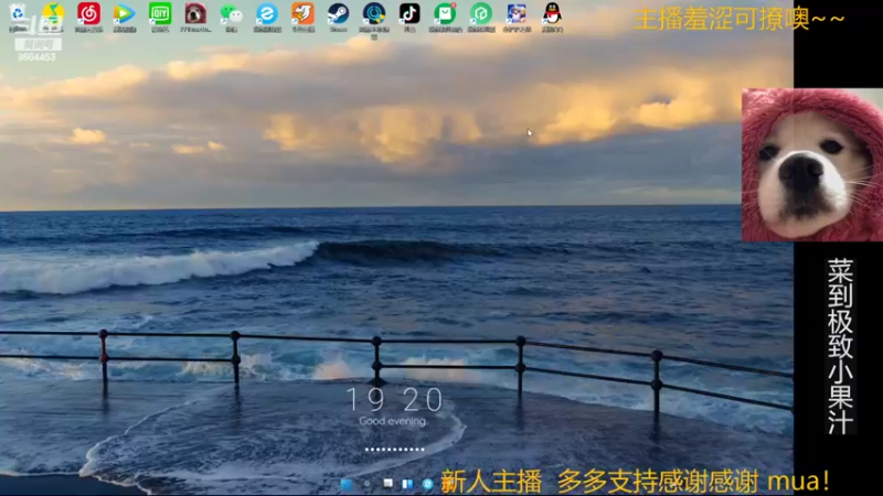 【2022-02-26 19点场】张果汁汁汁汁：【果汁上分频道】开播第八天!坚持!坚持!