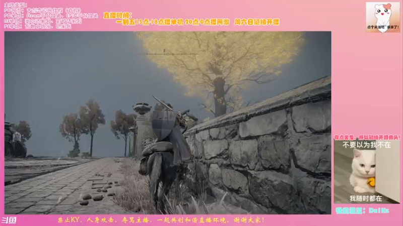 【2022-02-26 10点场】想吃胖的仓鼠央：【阿央】老头环开摆！！