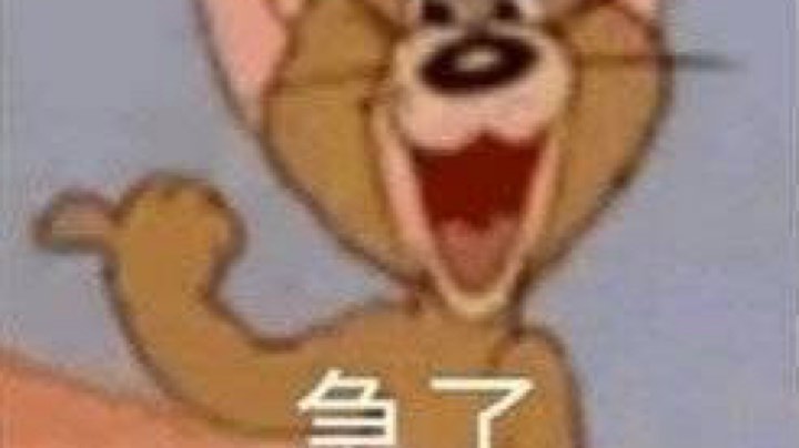 老头环开荒