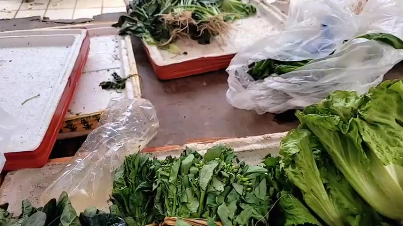 【2022-02-26 15点场】川味箩卜：新的一天冲冲冲 757122
