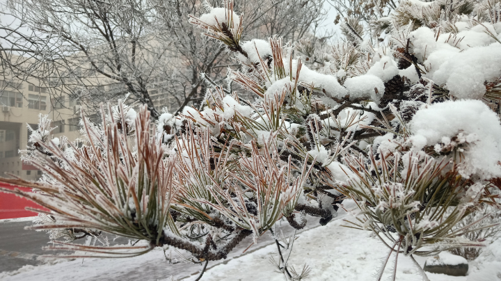 菜鸡的愉快一天