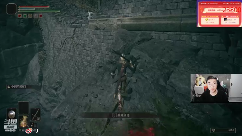 【2022-02-26 02点场】姜姜姜乐涵：艾尔登法环下午5:41开始目前死亡106