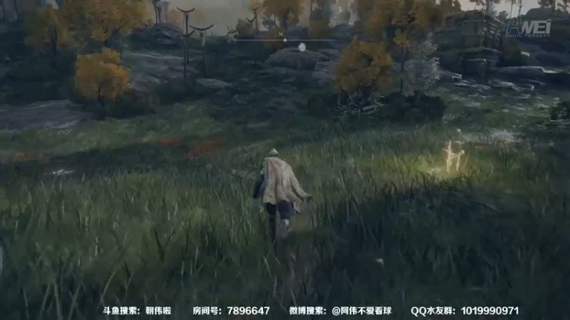 【2022-02-26 00点场】朝伟啦：阿伟：新来的朋友点波关注哦
