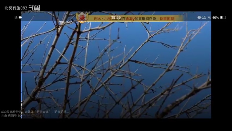 吃播（视频冬季赛）3434