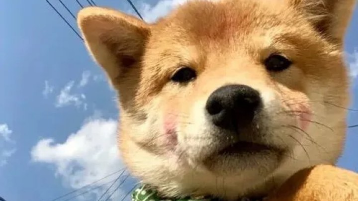 直播