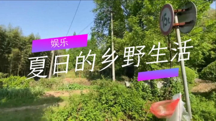 娱乐：夏日的乡野生活（一）