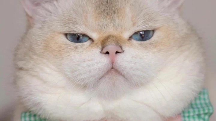 3直播回看