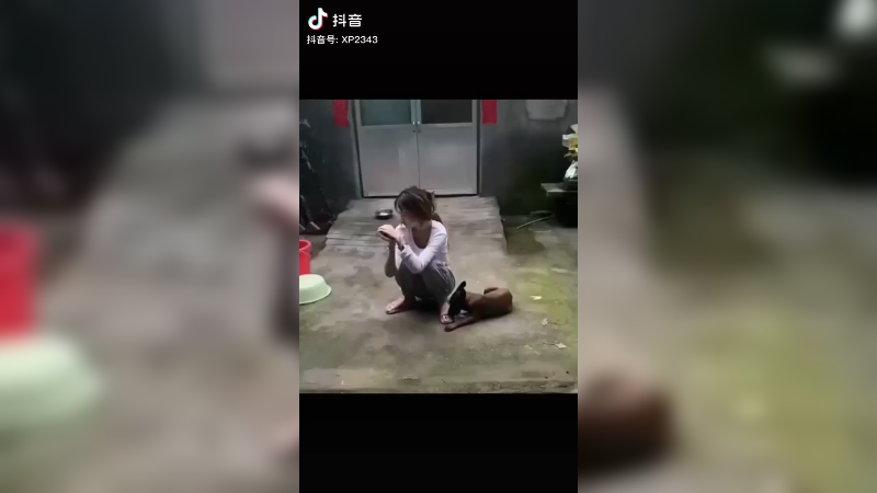 舔狗舔到最后一无所有