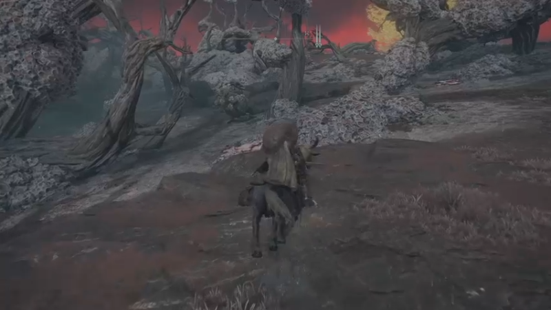 【2022-02-26 21点场】巴格拉斯：热爱生活，走进巴叔