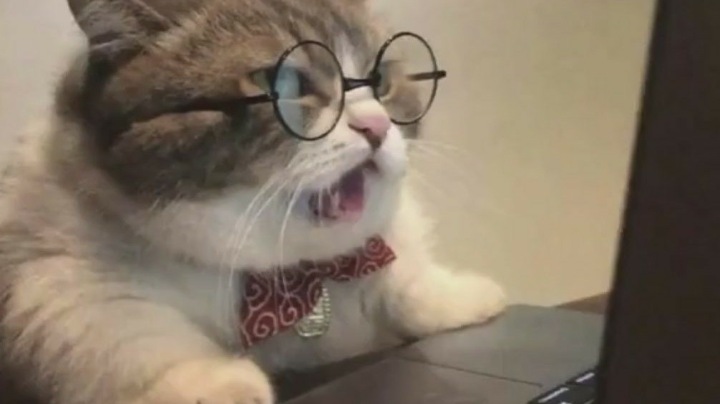 20220226双人成行