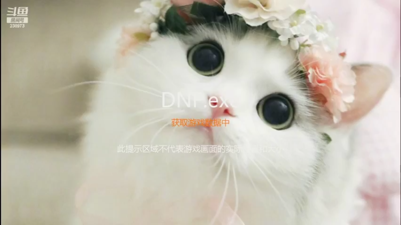 【2022-02-25 18点场】花间树：账号|搬砖|强化增幅|装备搭配养老院