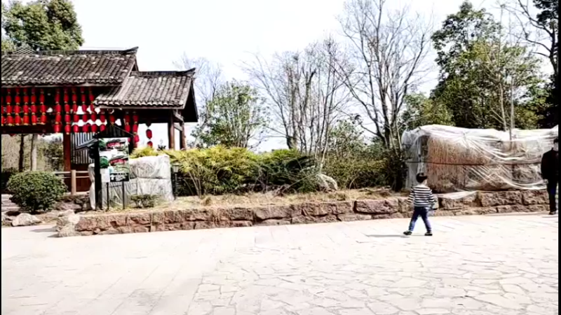 【2022-02-27 13点场】哈尼九：美釹，春天，户外