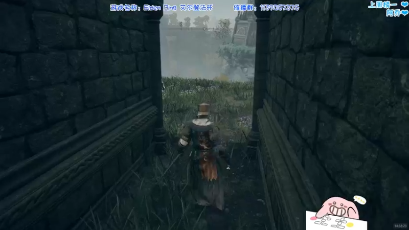 DDD艾尔登法环-6