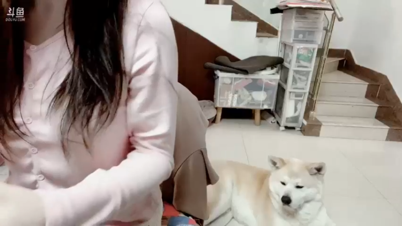 【2022-02-27 15点场】晒网的慧儿呀：就是一个小旺仔呀