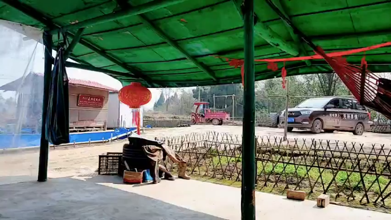 【2022-02-27 11点场】川味箩卜：新的一天冲冲冲 757122
