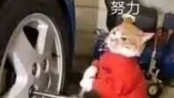 心如刀gie，难道大师体验卡要到期了吗