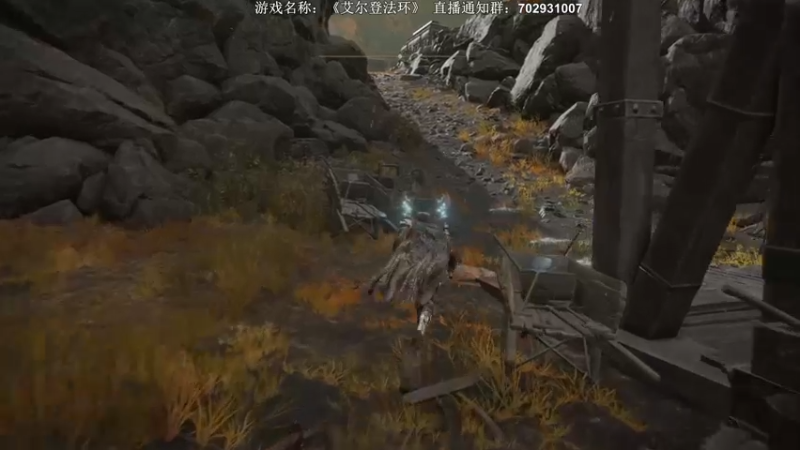 【2022-02-27 23点场】半支烟：【半支烟】《老头环》无敌冰斧！