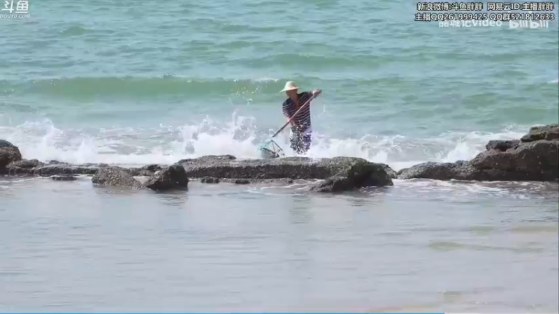 【2022-02-28 04点场】胖胖灬：胖胖OB：V5强啊，预测明灯在此！