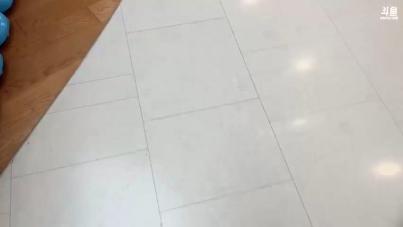 【2022-02-28 16点场】大胖狗koko：看小动物治愈一下