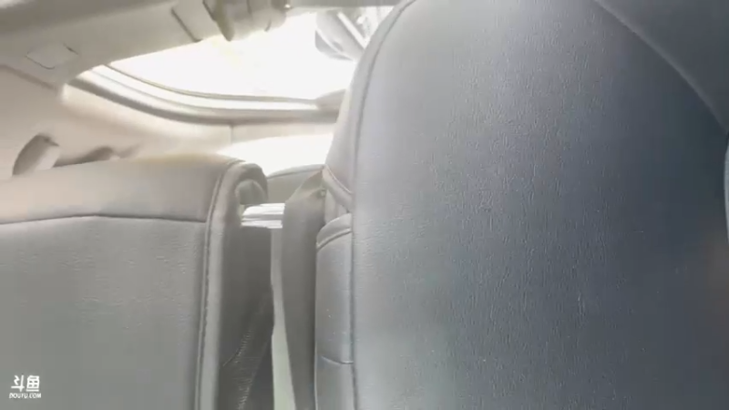 【2022-02-28 14点场】大胖狗koko：看小动物治愈一下