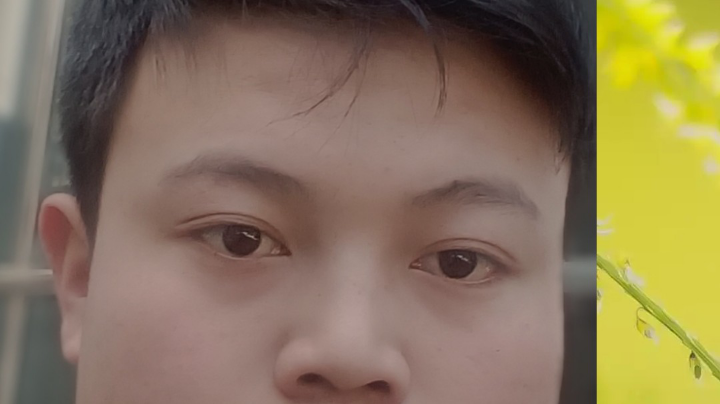 我心态崩了