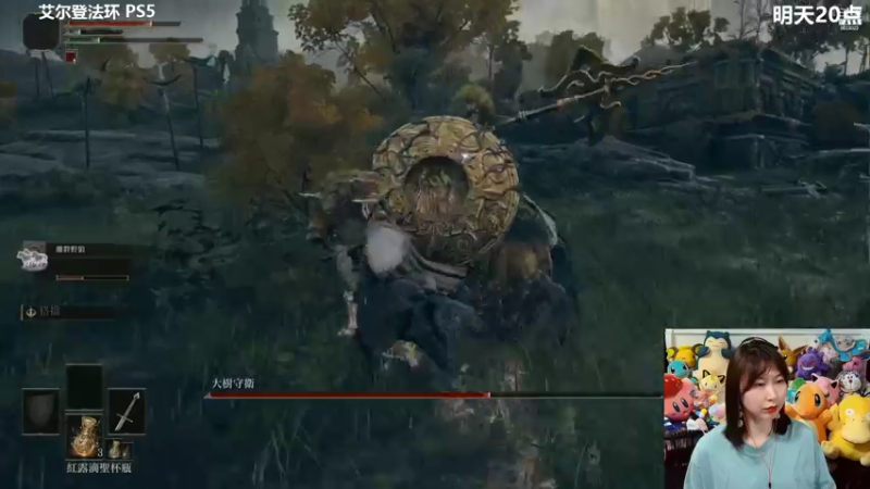 【艾尔登法环】爆炸红姐姐：艾尔登法环 受苦-4