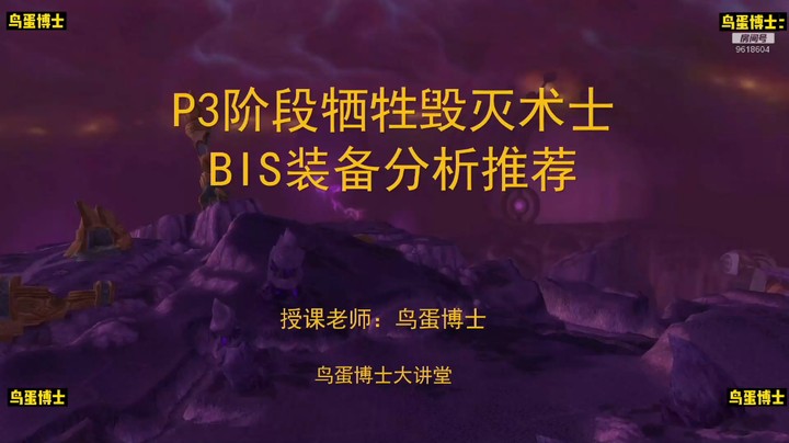 P3阶段牺牲毁灭术士BIS装备分析推荐