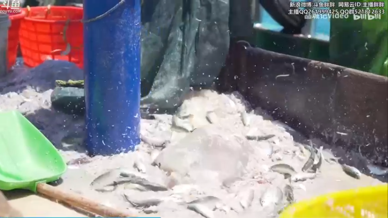 【2022-03-01 05点场】胖胖灬：胖胖OB：V5强啊，预测明灯在此！