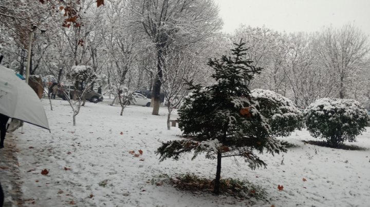 漫漫长夜  无脑游玩