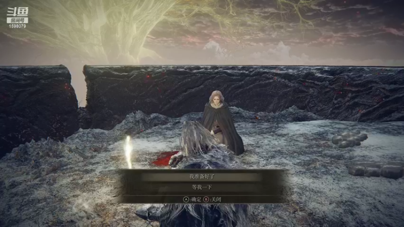 【2022-03-01 15点场】雏兽：艾尔登法环 1598079