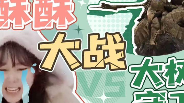 【酥酥】真 实 的 老 头 环 玩 家 现 状