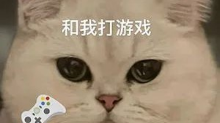 内战