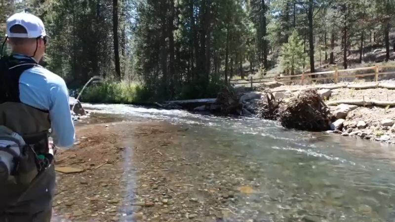 TINY CREEK Fly Fishing with a 6 FT