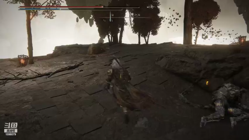 【2022-03-01 17点场】雏兽：艾尔登法环 1598079