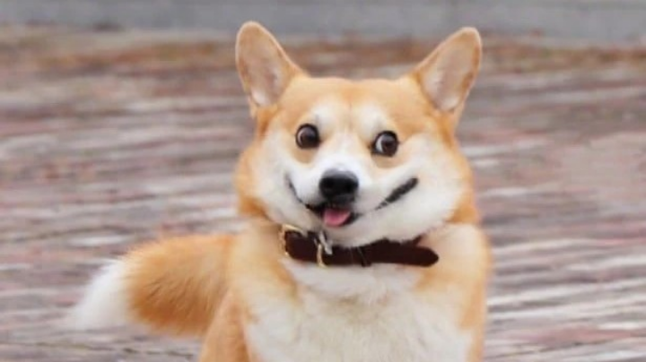 溜达溜达永劫无间