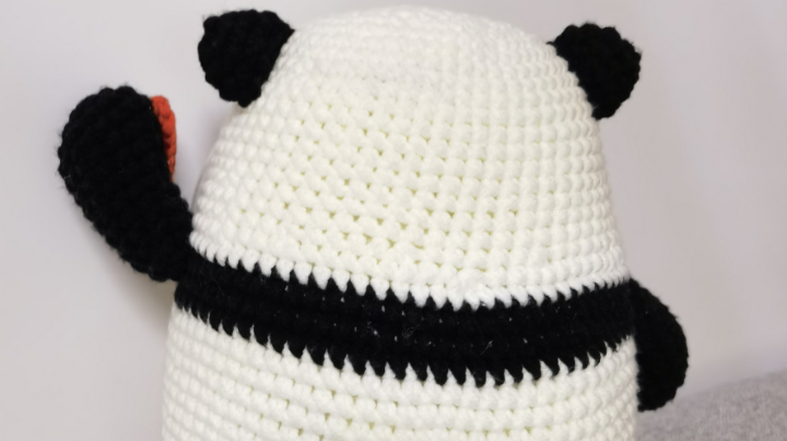 不想当船长的海盗不是好刺客