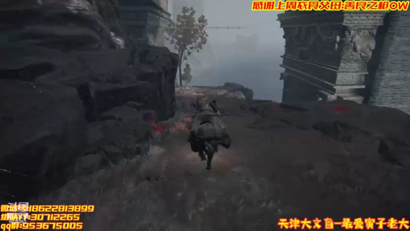 【2022-03-01 23点场】天津大文盲：艾尔登法环吟游诗人