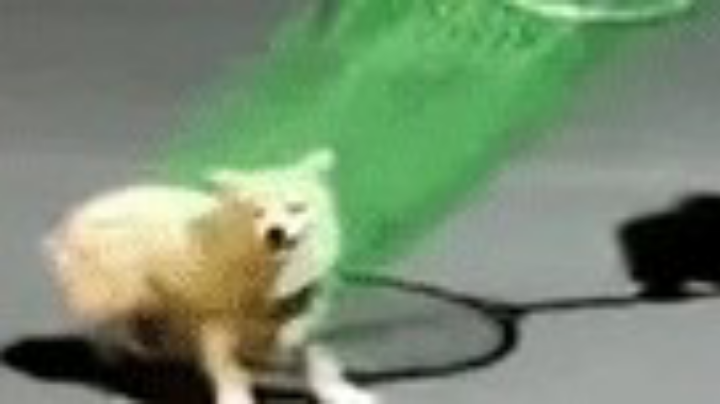 身法