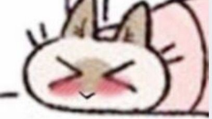 犯困的下午