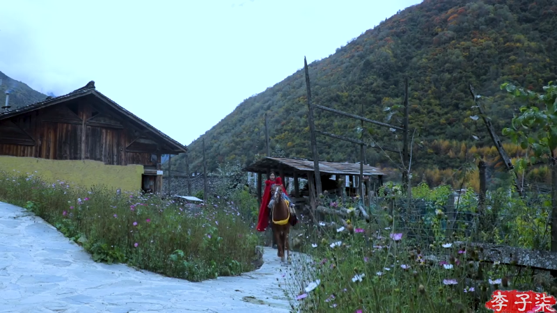 我在斗鱼看李子柒liziqi直播美食