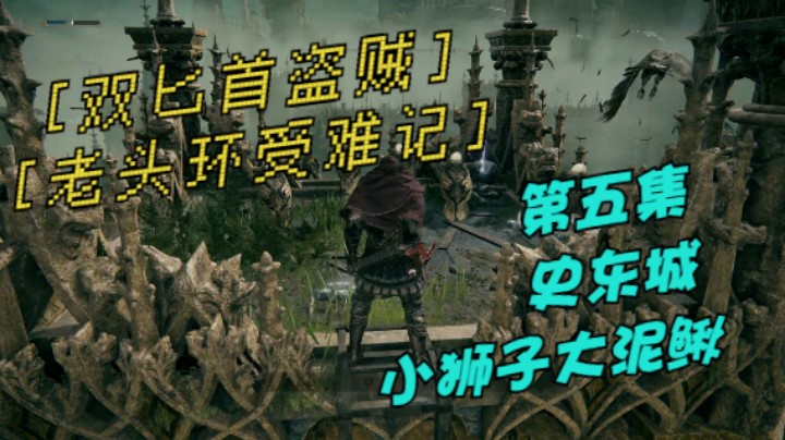《艾尔登法环》双匕首真·盗贼受苦记，第五集史东城小狮子大泥鳅。