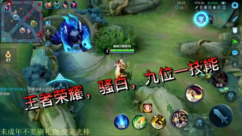 王者荣耀，骚白，九位一技能