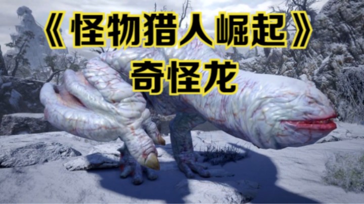 【新游速报】《怪物猎人崛起》“奇怪龙”的模型高清展示