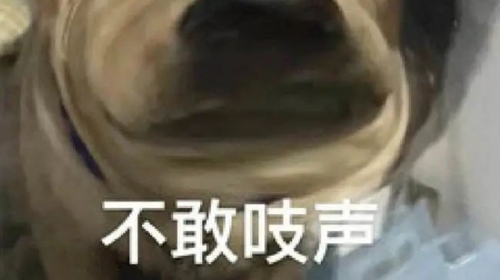 随便玩玩啦